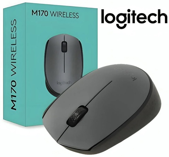 Mouse Logitech Wireless M170